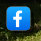 Facebook page
